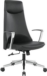 Professional Desk Chair